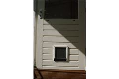 Je kat voelt zich meteen thuis